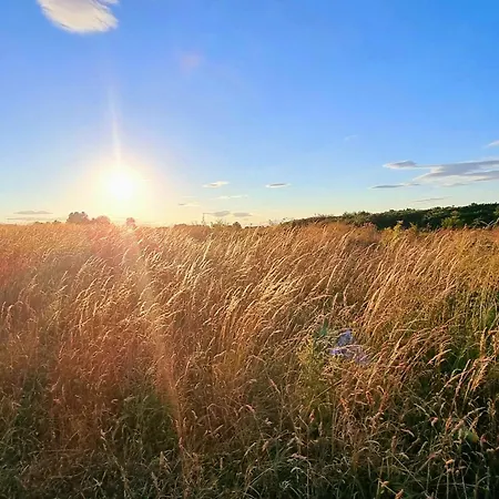 펜션 Merchants Quarters - Full Collection - Three In One - With Harbour And Sea Views, Roof Terrace And Location To Amenities 스카버러