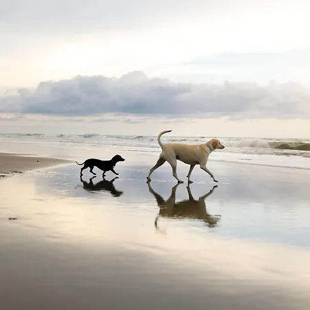 펜션 Merchants Quarters - Full Collection - Three In One - With Harbour And Sea Views, Roof Terrace And Location To Amenities