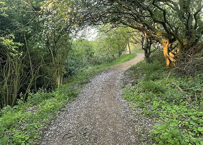 Merchants Quarters - Full Collection - Three In One - With Harbour And Sea Views - Free Roof Terrace With Sea And Harbour View And Location To Beaches Amenities Restaurants And Harbour *