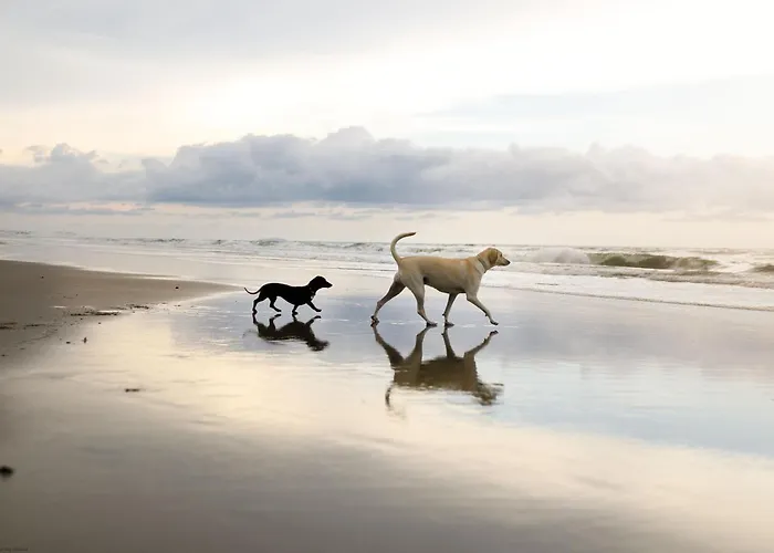 Semesterbostad Merchants Quarters - Full Collection - Three In One - With Harbour And Sea Views - Free Roof Terrace With Sea And Harbour View And Location To Beaches Amenities Restaurants And Harbour