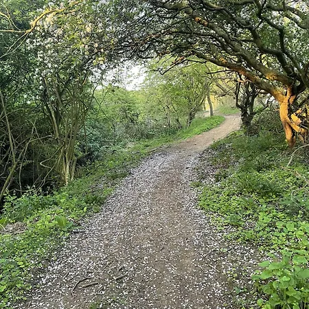 Merchants Quarters - Full Collection - Three In One - With Harbour And Sea Views - Free Roof Terrace With Sea And Harbour View And Location To Beaches Amenities Restaurants And Harbour *